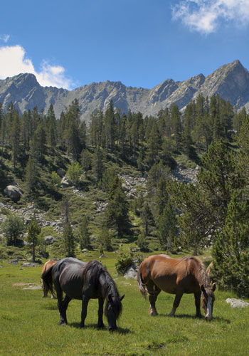 Vivre à Aixirivall, Sant Julià de Lòria, Andorre
Aixirivall Andorre